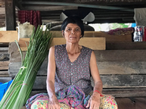 លោកយាយ ចាន់ធូ លោកយាយ ចាន់ធូ